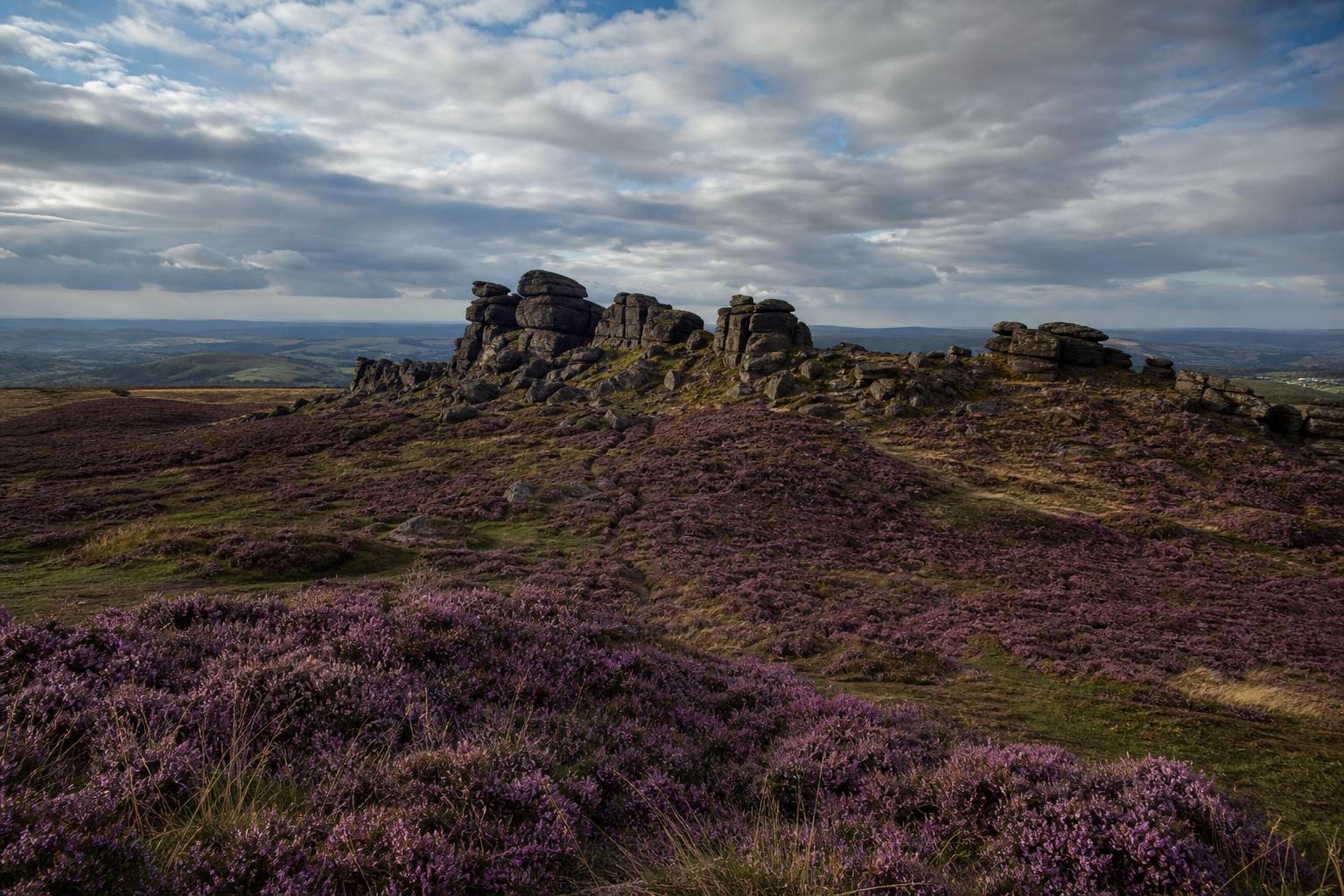 Dark gritstone tor and heather moorland in the Peak District